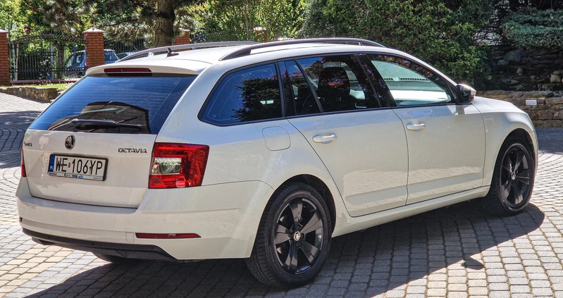 Skoda Octavia cena 54900 przebieg: 139000, rok produkcji 2020 z Lublin małe 277